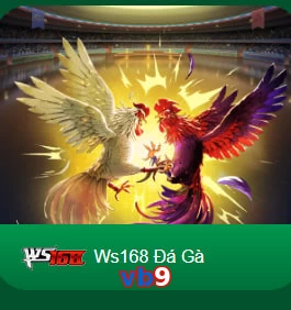 vb9